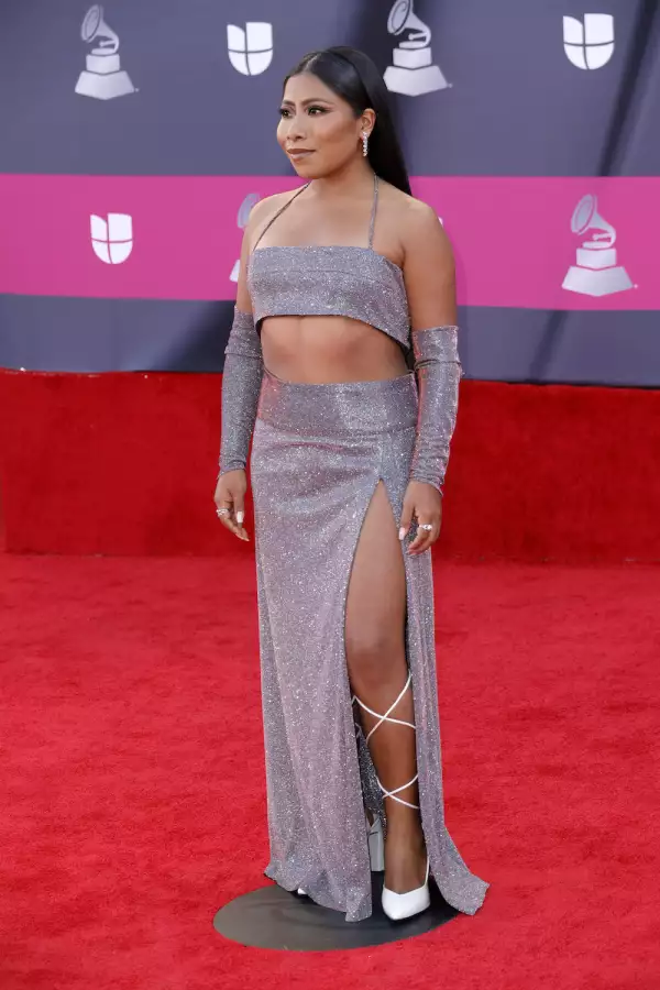 23rd Annual Latin GRAMMY Awards - Arrivals