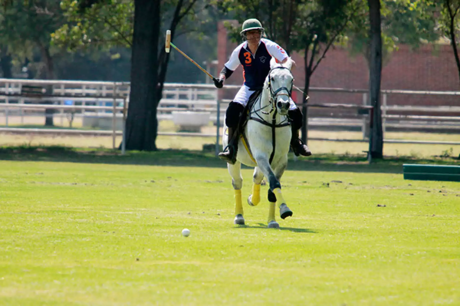 Juego de Polo México - España