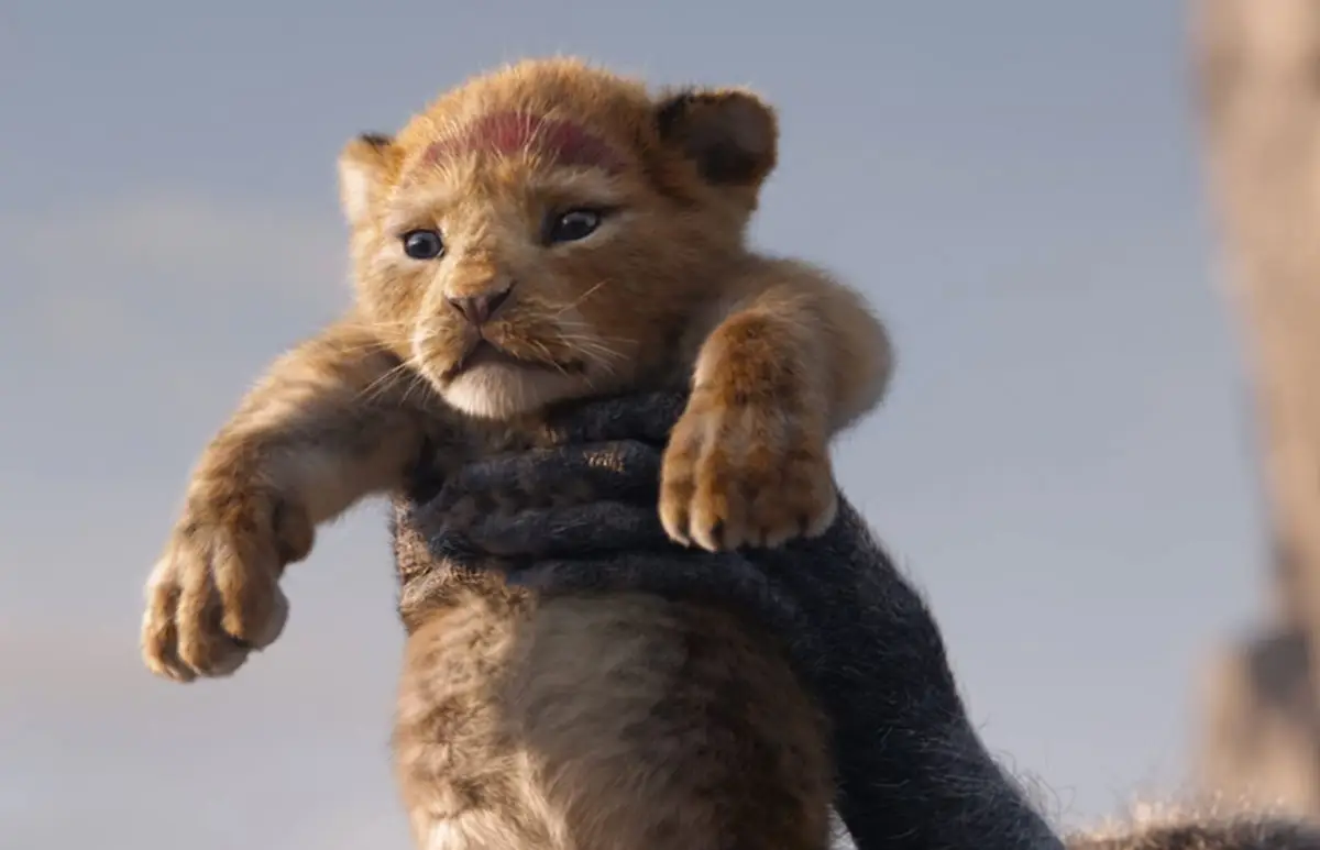 rey-leon.jpg