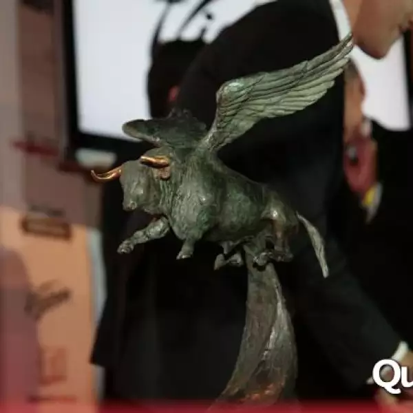 presentacion libro Pajarito