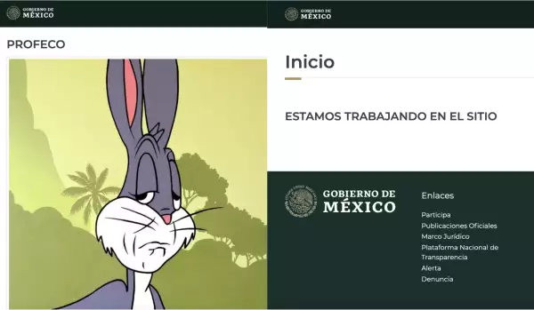 Página de la Profeco