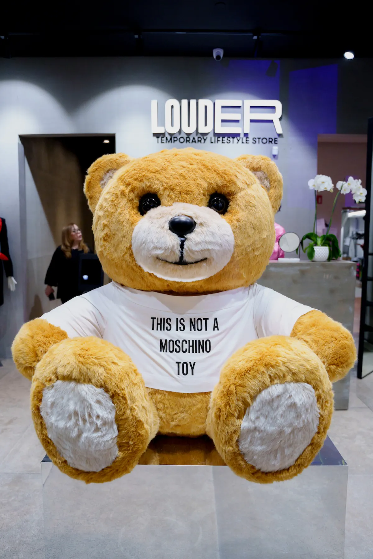 El oso de moschino te recibe a la entrada de la tienda Louder Lifestyle.
