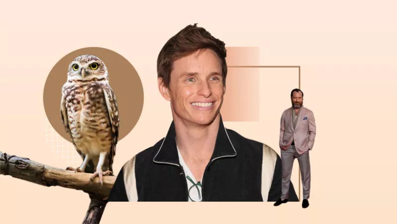 secretos-de-dumbledore