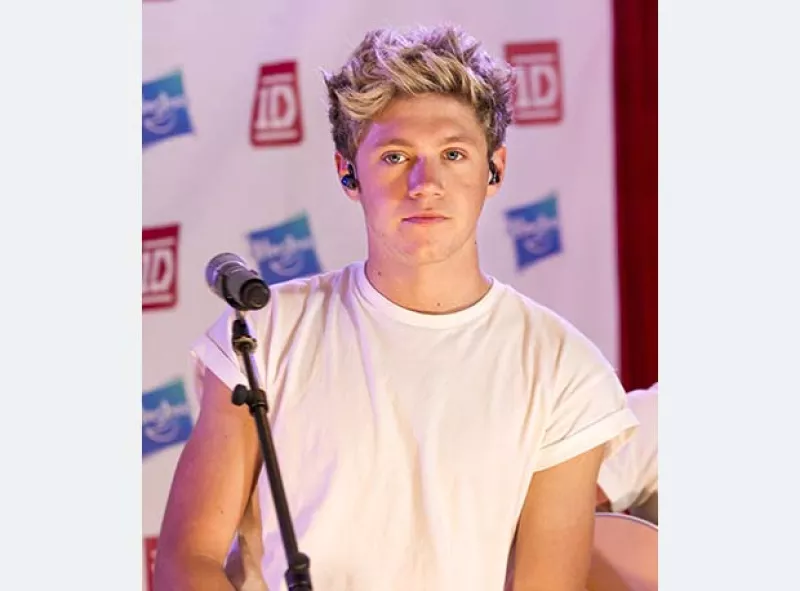 El cantante de One Direction volvió locas de curiosidad a sus fans luego de despedirse de ellas en una twitcam y después abrazar cariñosamente a una misteriosa chica.