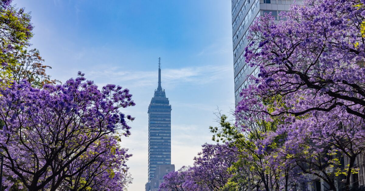 Bu, Meksika'nın ABD ve Çin gibi diğer ülkelerdeki kamu harcamalarına eşdeğer.