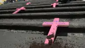 La activista Wendy López realizó el performance “Las Sin Nombre”, colocó cruces rosas con nombres de mujeres víctimas de feminicidio, en Xalapa.