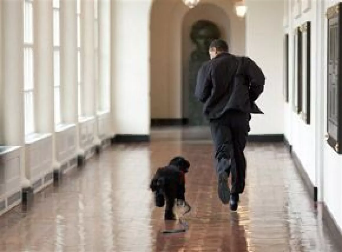 El can de agua portugués negro de seis meses es un regalo para la familia Obama del senador Edward Kennedy.