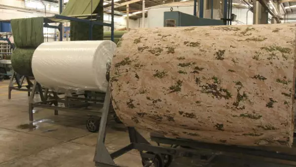 Ej�rcito Mexicano Fave 2