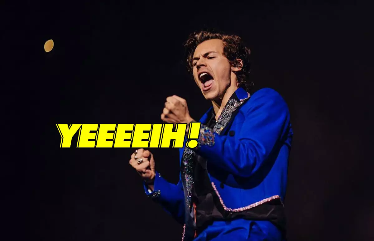 harry-styles-vela