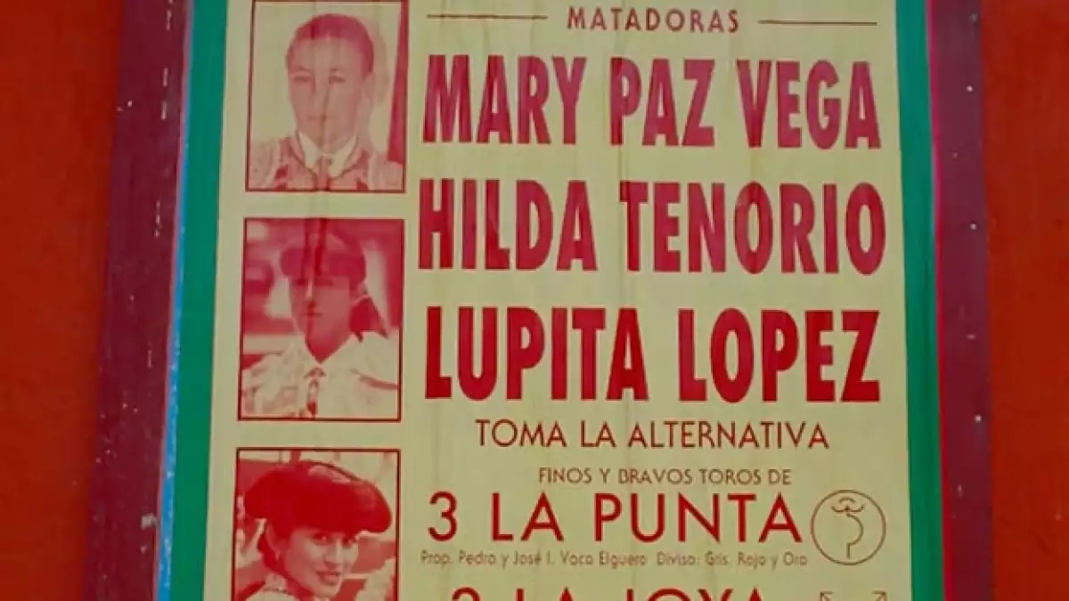 Toros