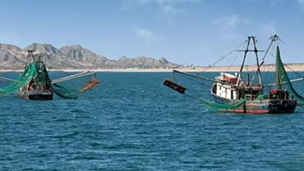 Puerto Pe�asco 2