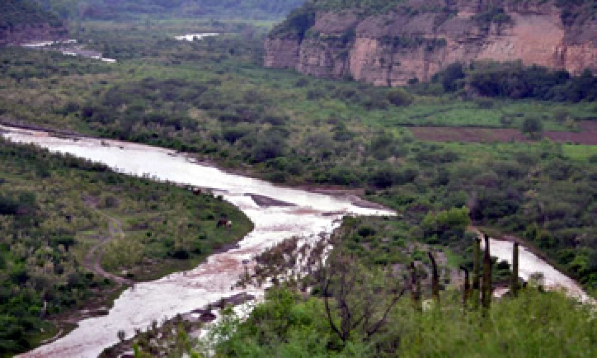 El derrame se detectó el 6 de agosto en el arroyo de Las Tinajas. (Foto: Cuartoscuro)
