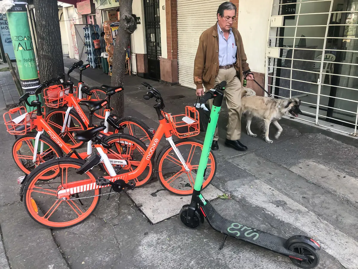 Scooter Grin