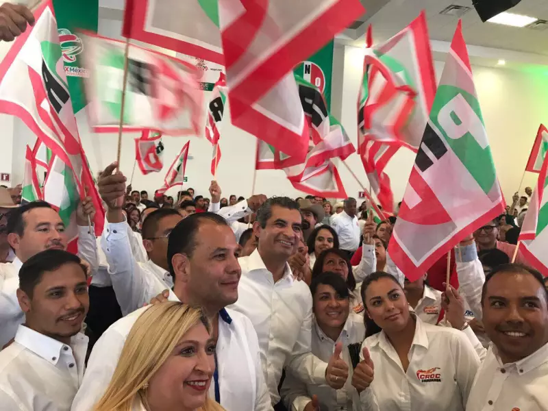 Órgano máximo 