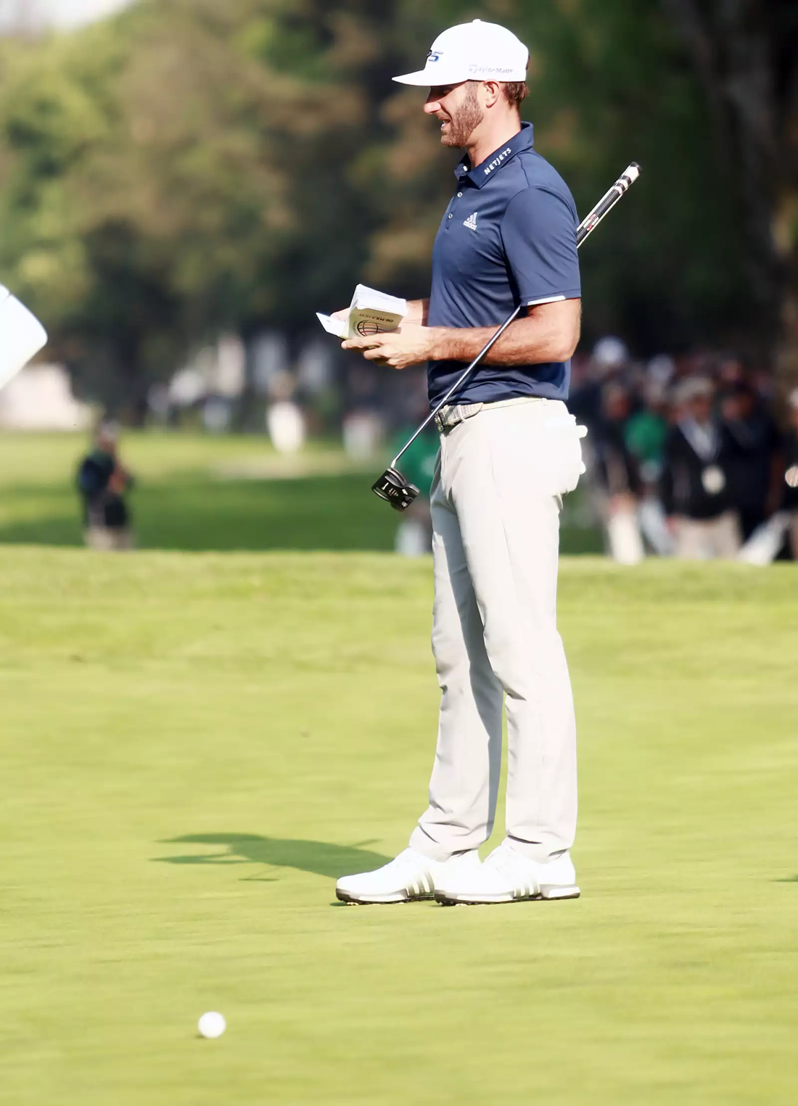 World Golf Championship Domingo 