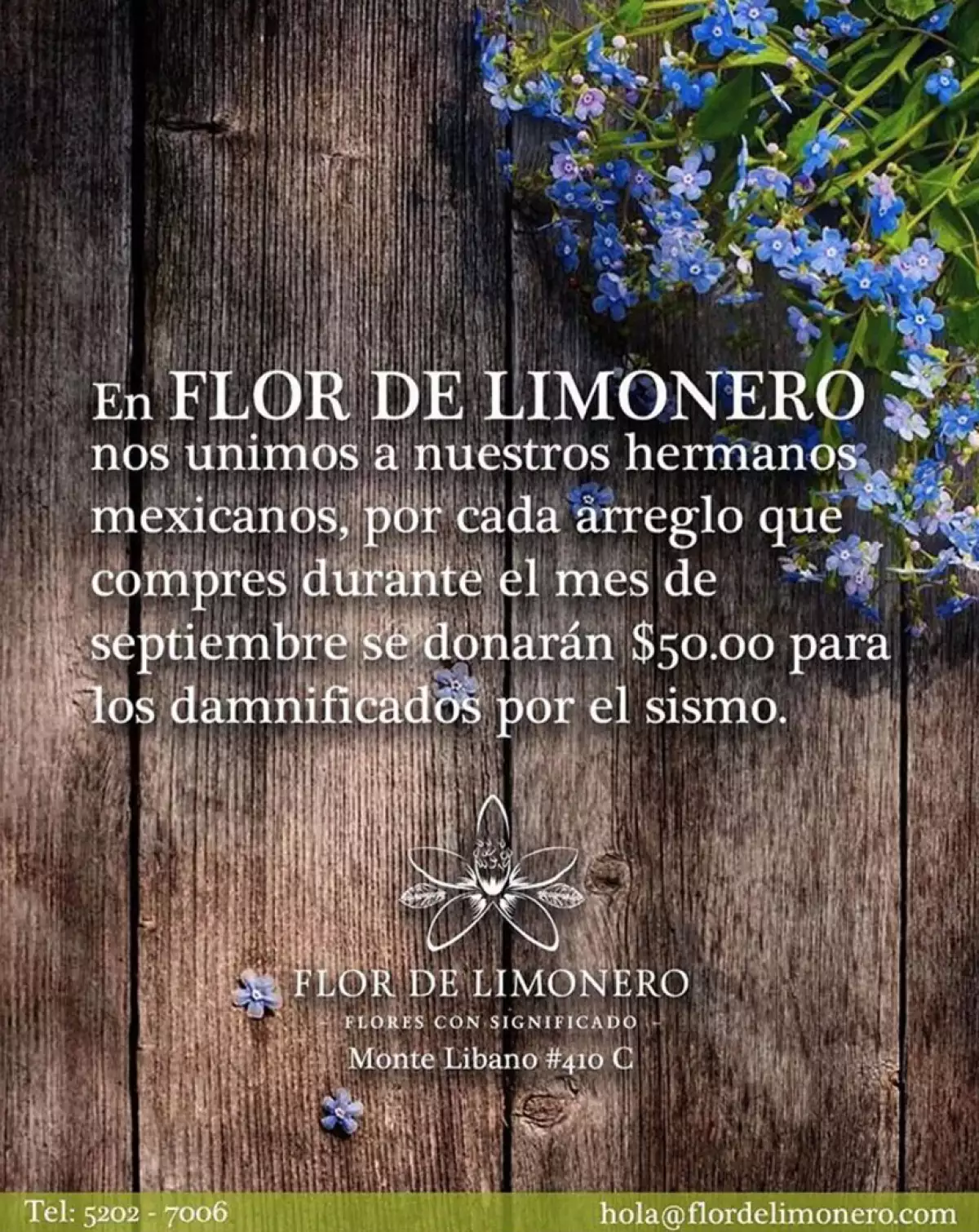 Flor de Limonero