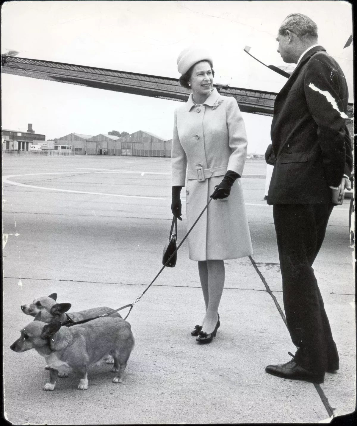 Queen Elizabeth. Dogs. Picture Shows The Queen Arrives At London Airport With Her Corgis.