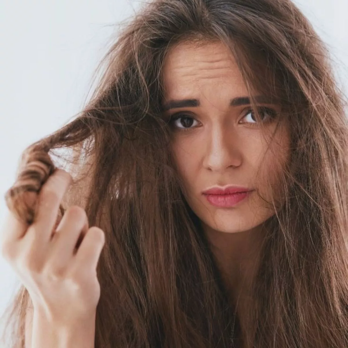 pelo dañado .jpg