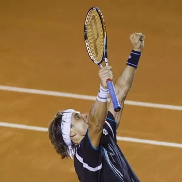 David Ferrer