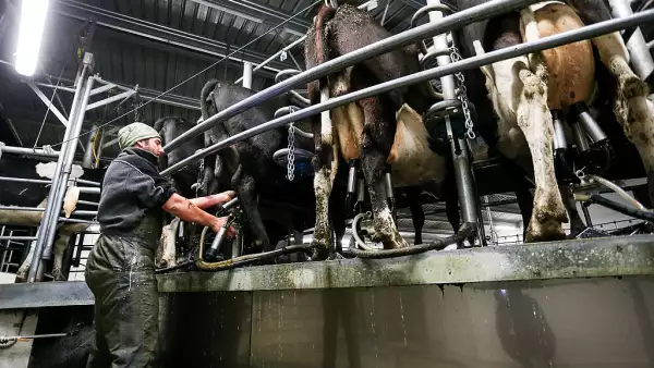 Las importaciones de leche en polvo en 2015 fueron de 259,479 toneladas. 