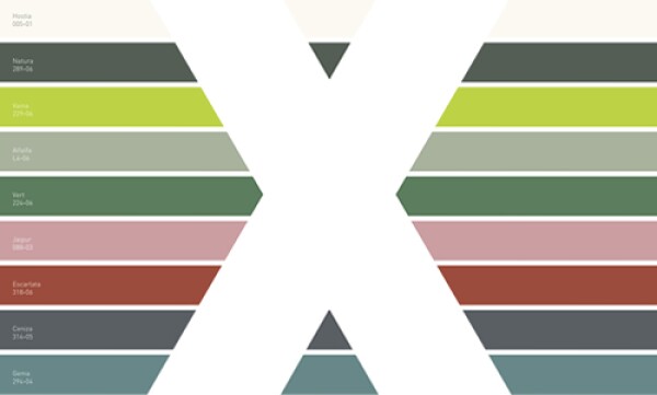 Endémcio paleta de colores Comex