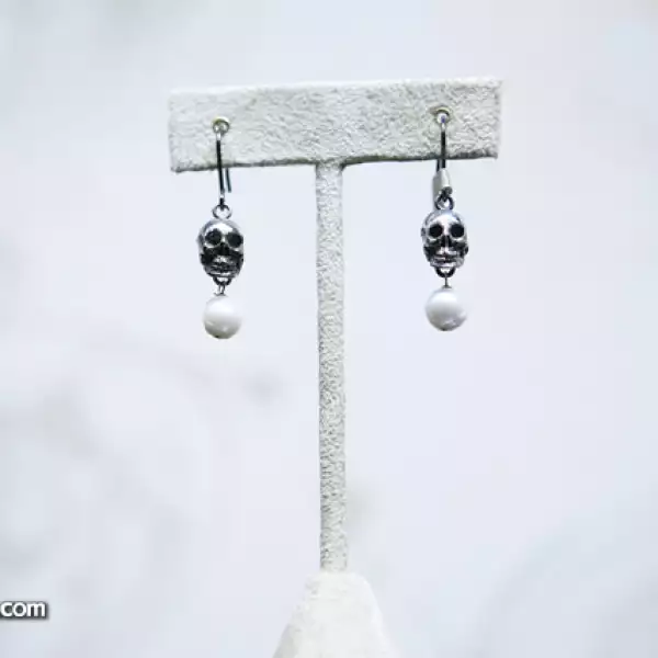 Punto i coma pedregal