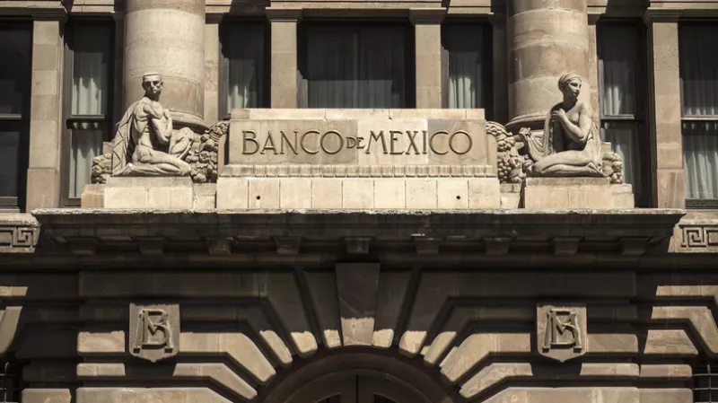 Banco de México reporte trimestral