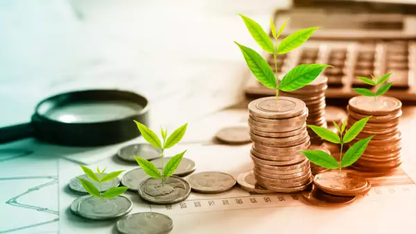 tree growing on coins idea for growing business concept