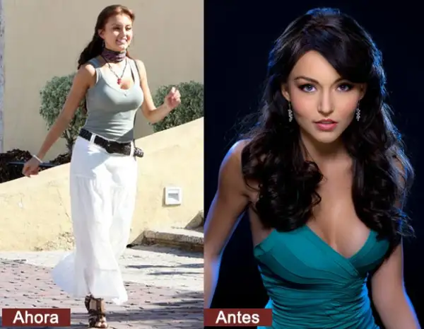 Angelique Boyer cambió su sexy pelo negro por uno más castaño.