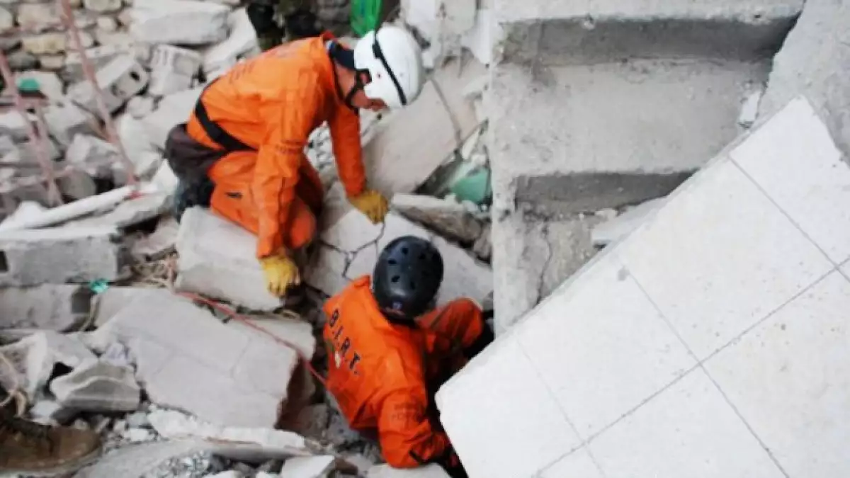 Topos naranjas brigada de rescate