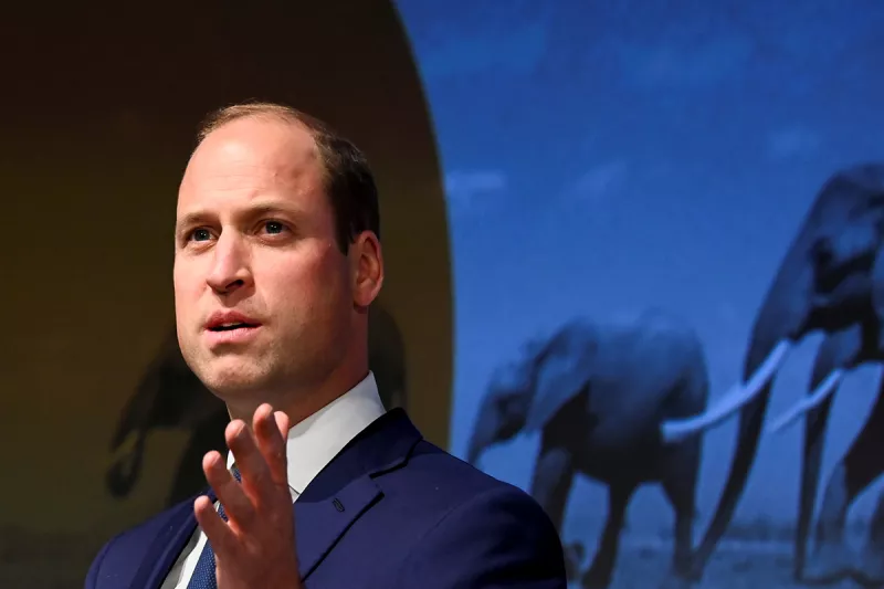The Duke Of Cambridge Celebrates Conservationists At The Tusk Awards 2021