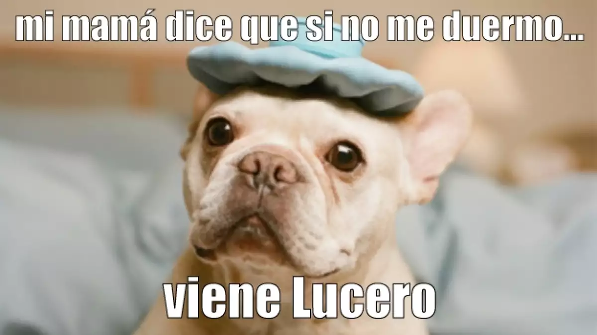 meme