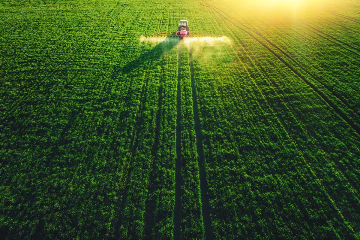 Cultivo - Agricultura