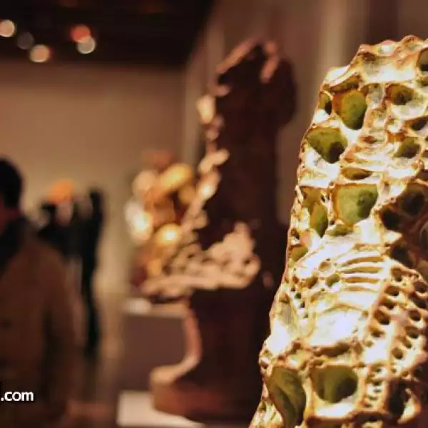 Exposición Piedra Cometa de David Gerstein