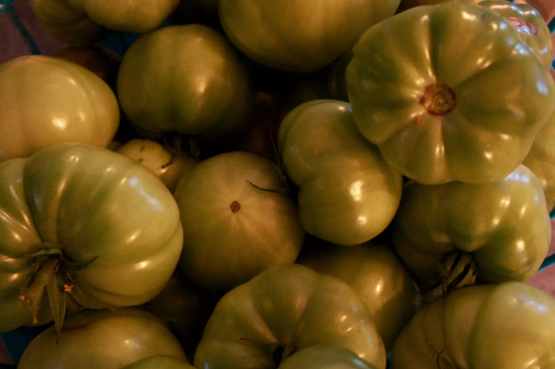 Green Tomatoes