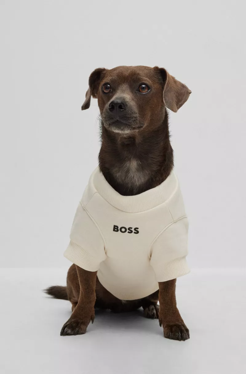 hugo boss perros