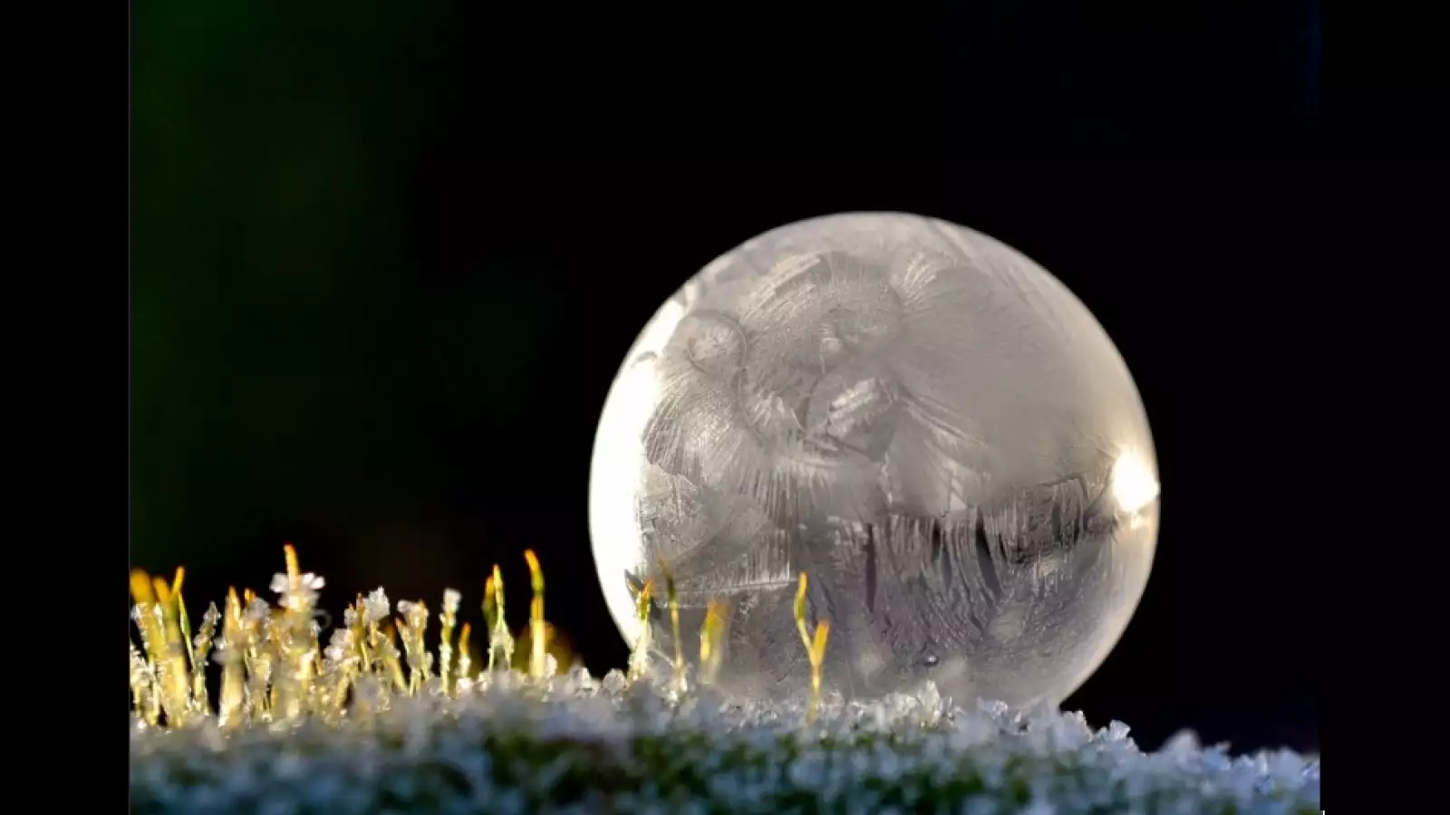 burbujas congeladas EU 4