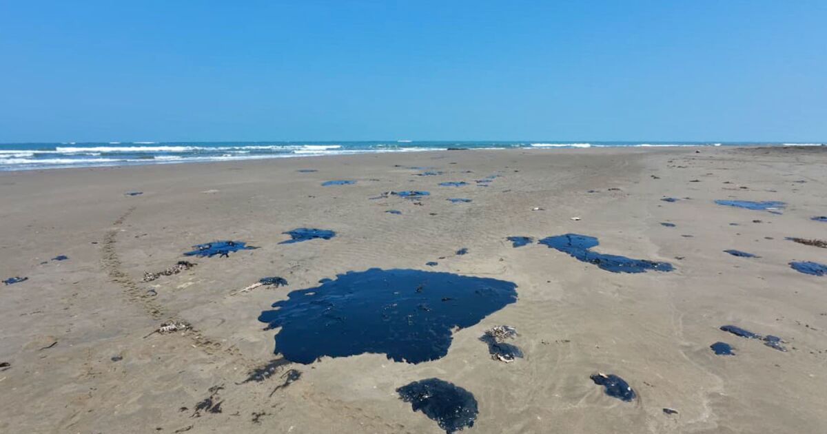 2026'da sorumlulara veya çevreye ceza verilmeden temizlik ilerlemeleri