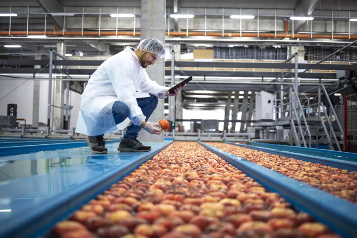 México ahora tiene una política industrial