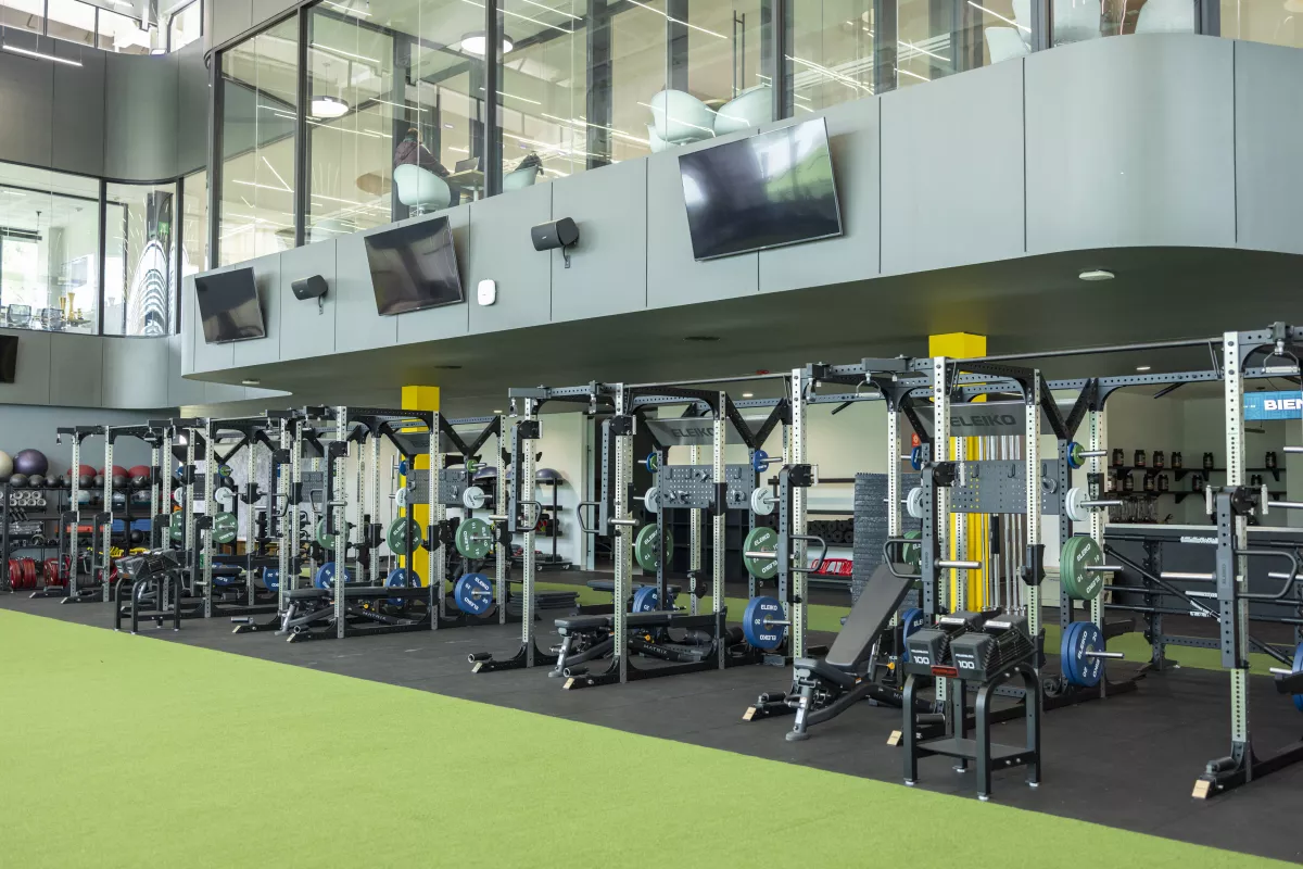 gimnasio.JPG