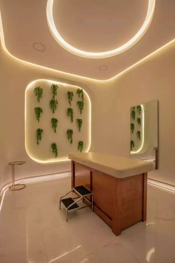 cirugía estética 2