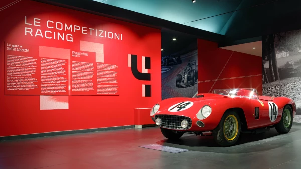 Driven by Enzo