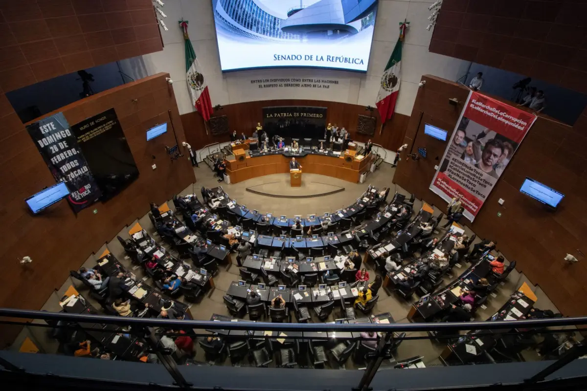 senado
