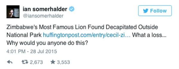 'El león más famoso de Zimbawe encontrado decapitado afuera del Parque Nacional. Qué pérdida... ¿Por qué alguien haría esto?'