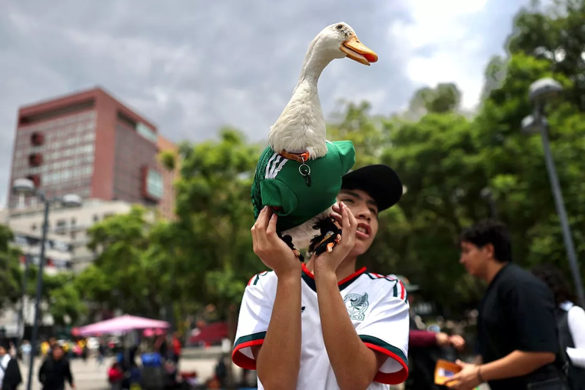 El fenómeno del pato Merlín reabre el debate: ¿qué no se puede registrar como marca en el IMPI? 