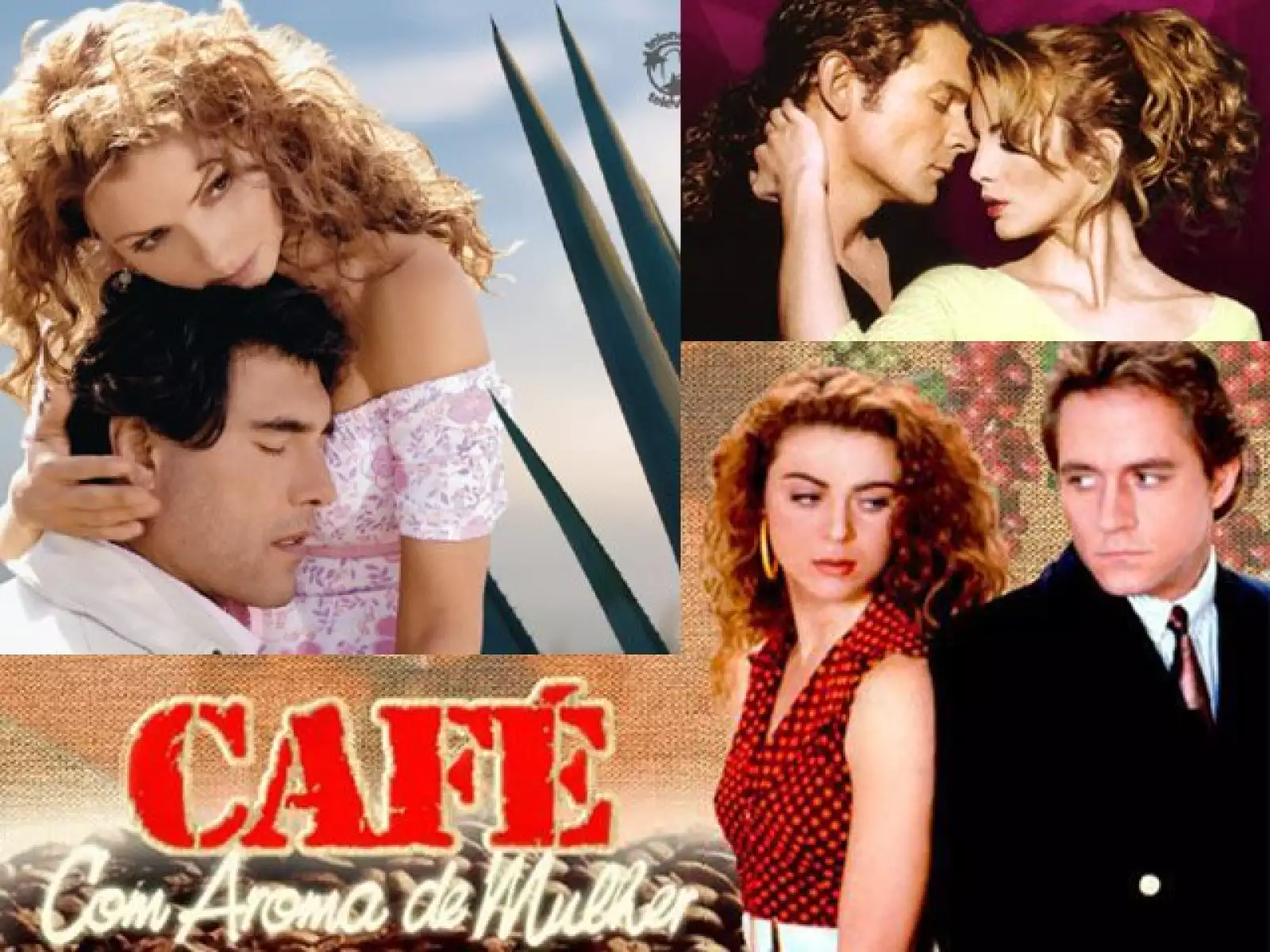 En Colombia fue La Gaviota, papel con el que reconocimos a Angélica Rivera en Destilando amor; en Cuando seas mía, Silvia Navarro fue La Paloma.