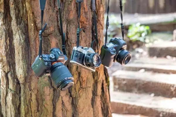 Foto: Paulina Villaseñor