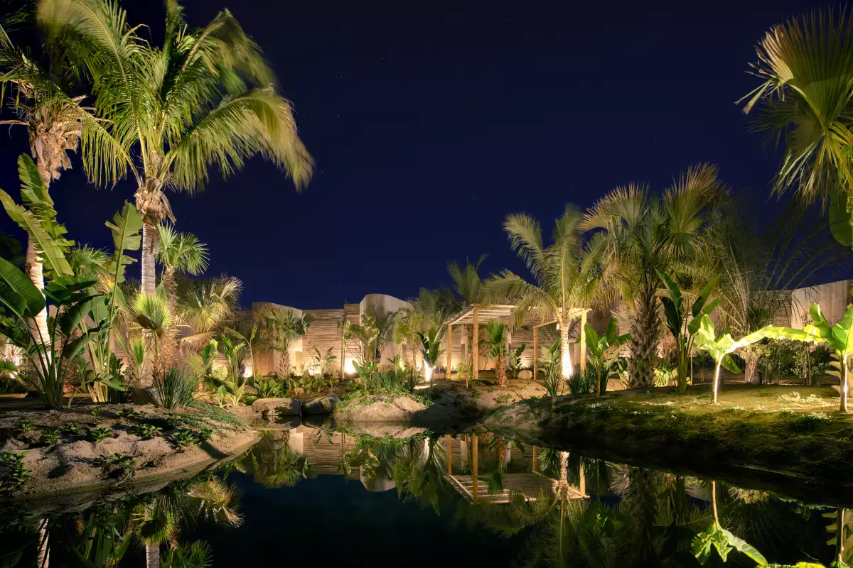 Paradero_Exterior_2 _ Credit_ Archiphoto_YoshikoitaniPhotography.jpg.jpg