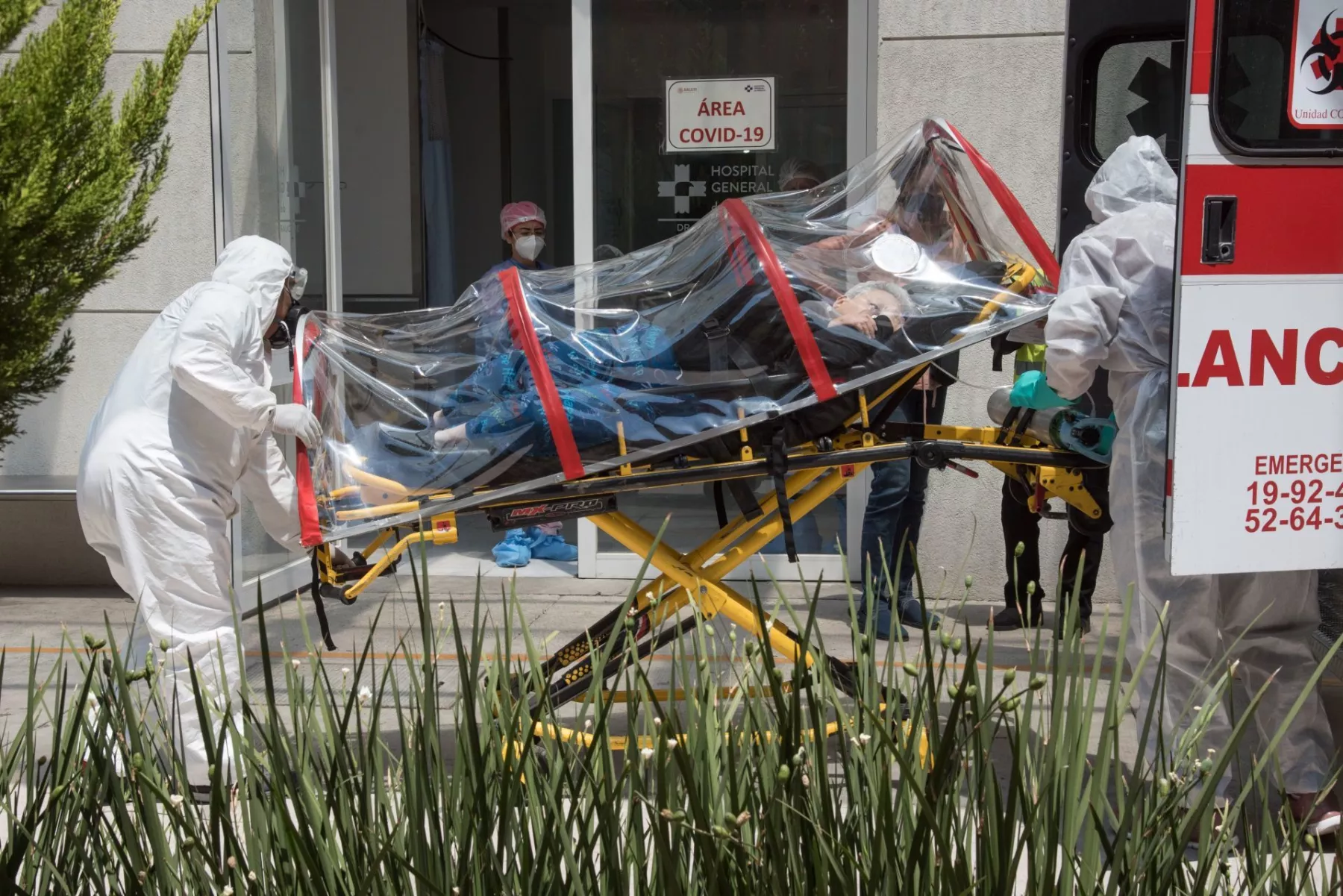 pandemia covid 19