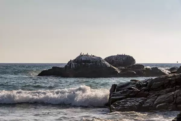 La punta